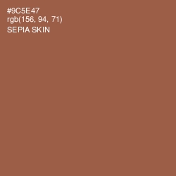 #9C5E47 - Sepia Skin Color Image